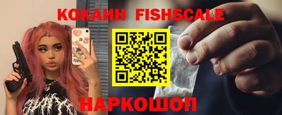 крисы Партизанск