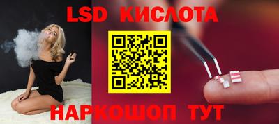 крисы Партизанск