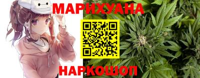 крисы Партизанск