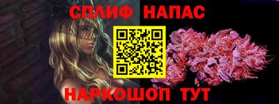 крисы Партизанск