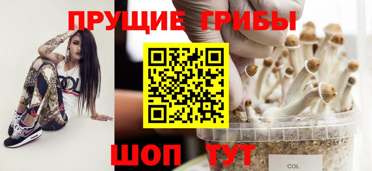 Прохладный  Псилоцибиновые грибы прущие грибы  Вход с VPN 